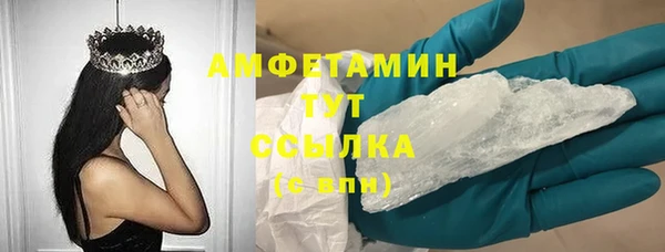 индика Семёнов