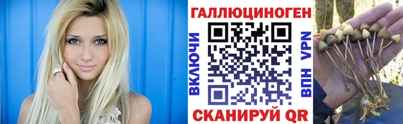 как найти   Северодвинск  Псилоцибиновые грибы Psilocybe 