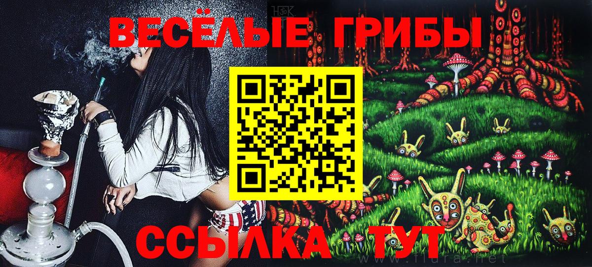 Галлюциногенные грибы MAGIC MUSHROOMS  цены наркотик  Северодвинск  Вход с VPN 